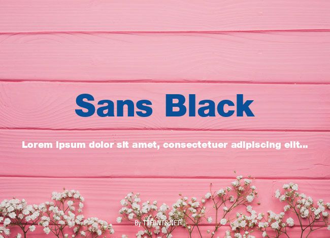 Sans Black example