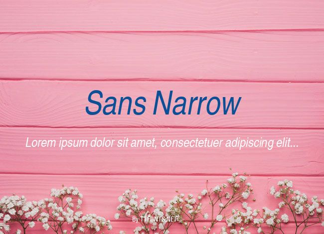 Sans Narrow example