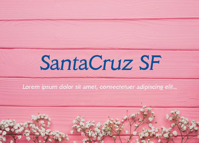 SantaCruz SF example