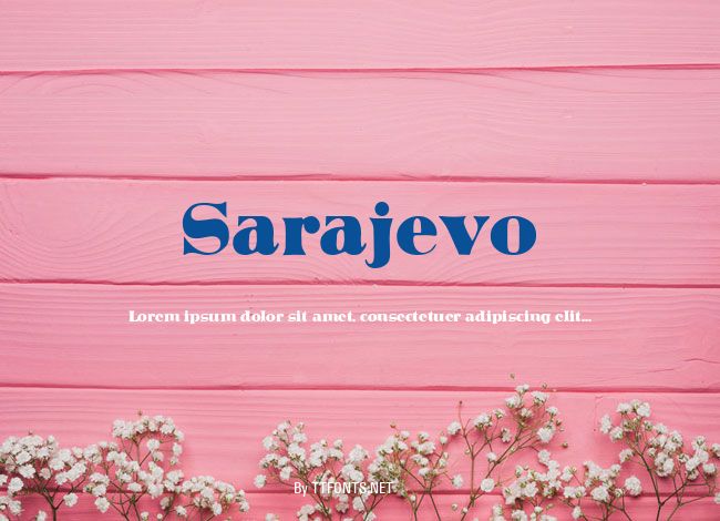Sarajevo example