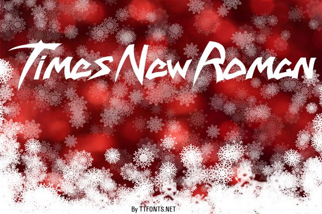 Times New Roman example