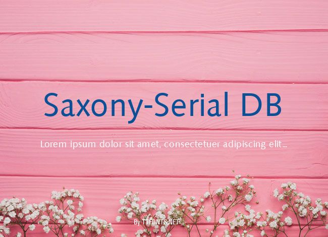 Saxony-Serial DB example