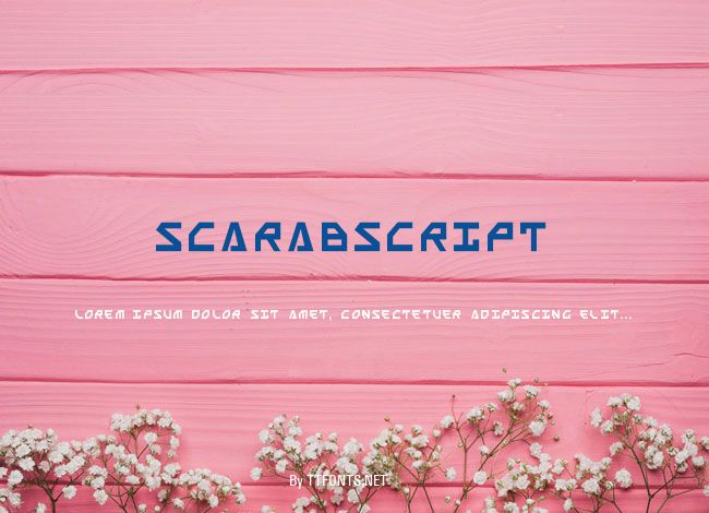ScarabScript example
