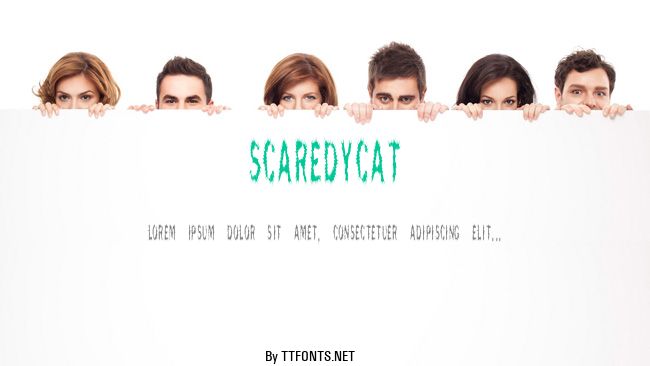 ScaredyCat example