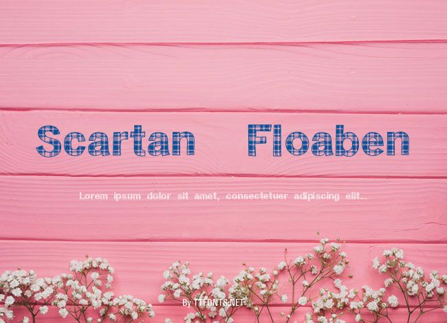 Scartan  Floaben example