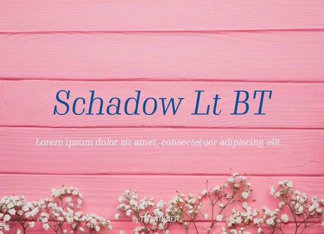Schadow Lt BT example