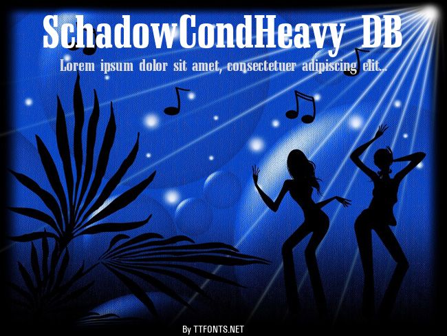 SchadowCondHeavy DB example