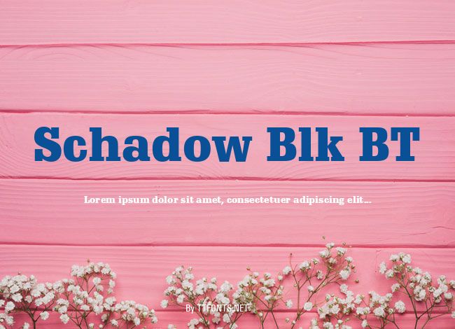 Schadow Blk BT example