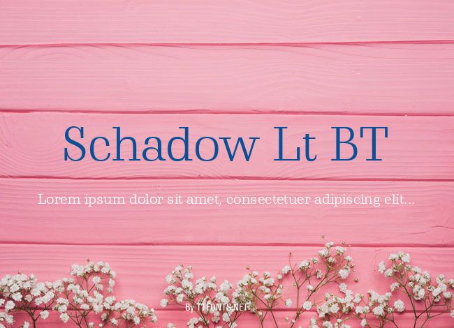 Schadow Lt BT example
