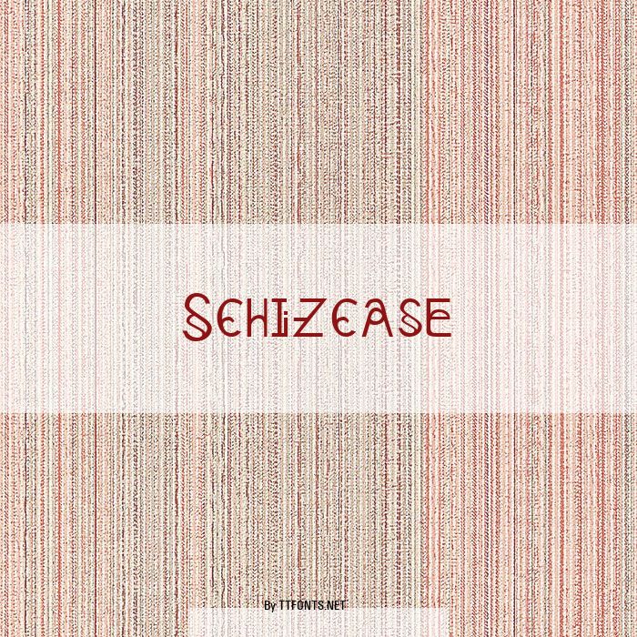 Schizcase example