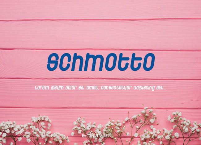 Schmotto example