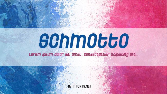 Schmotto example