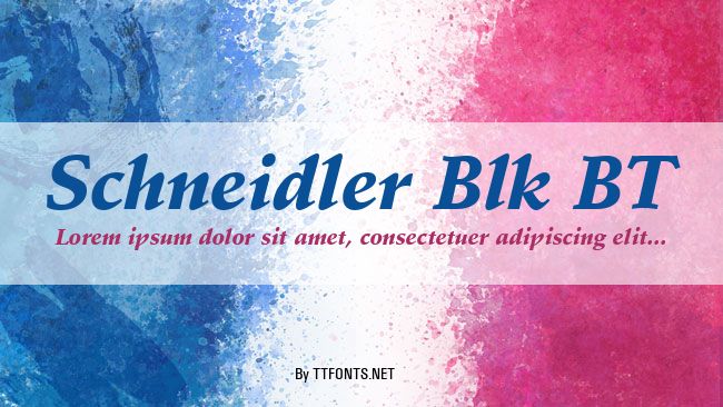 Schneidler Blk BT example