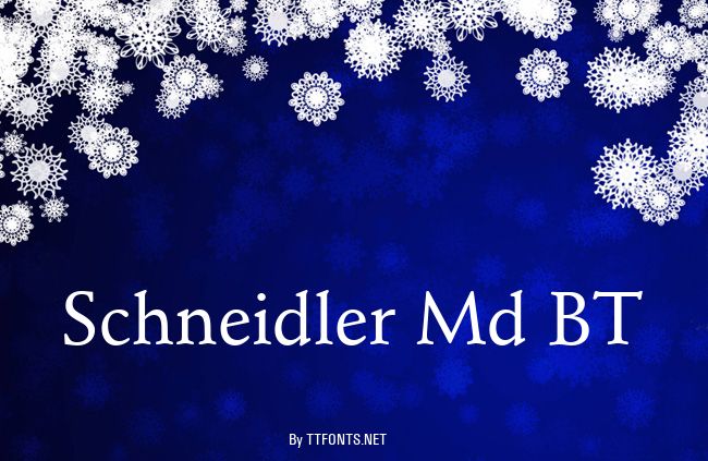 Schneidler Md BT example