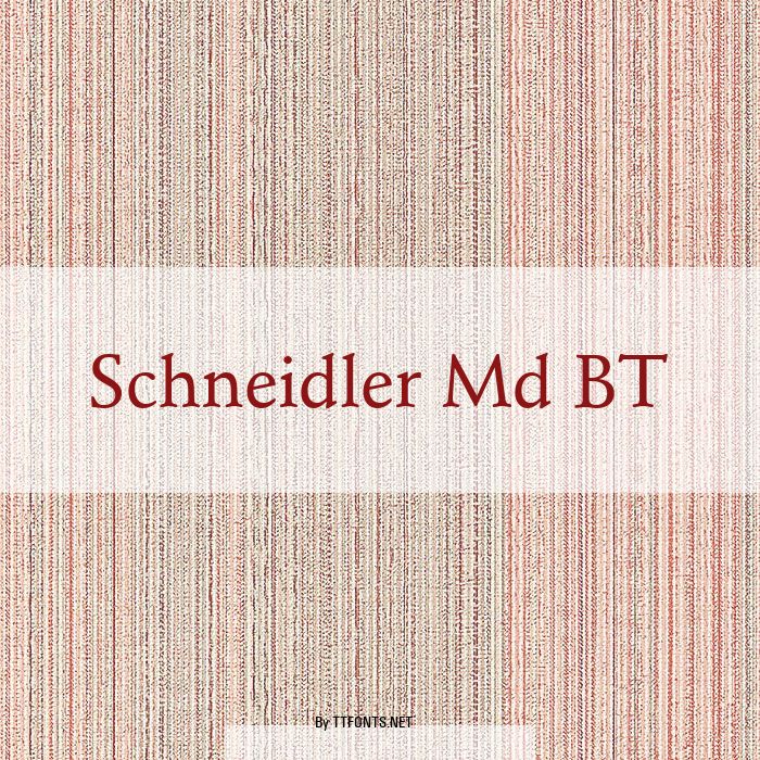 Schneidler Md BT example