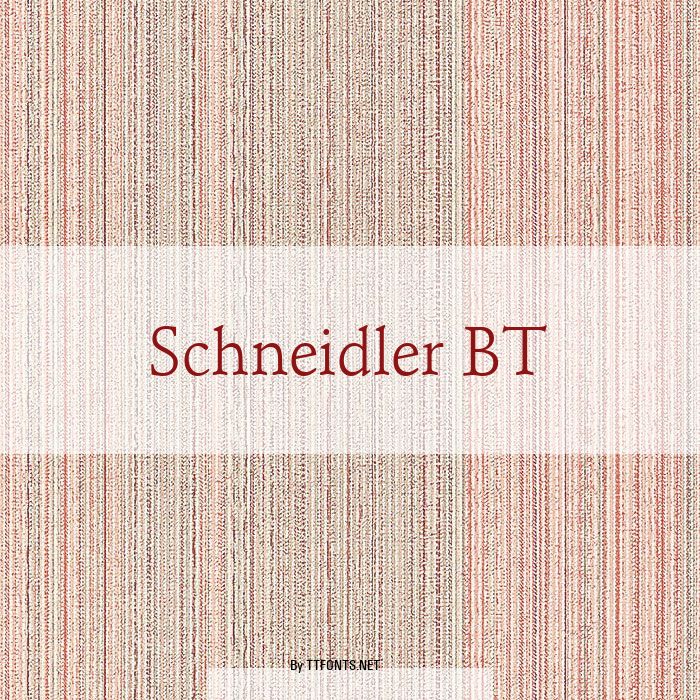 Schneidler BT example