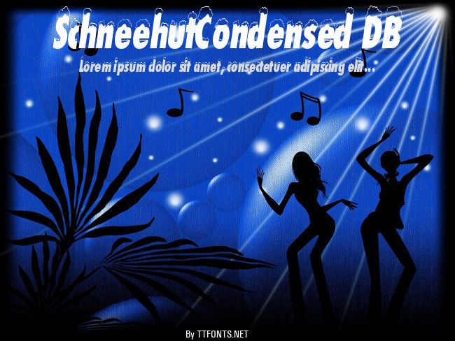 SchneehutCondensed DB example