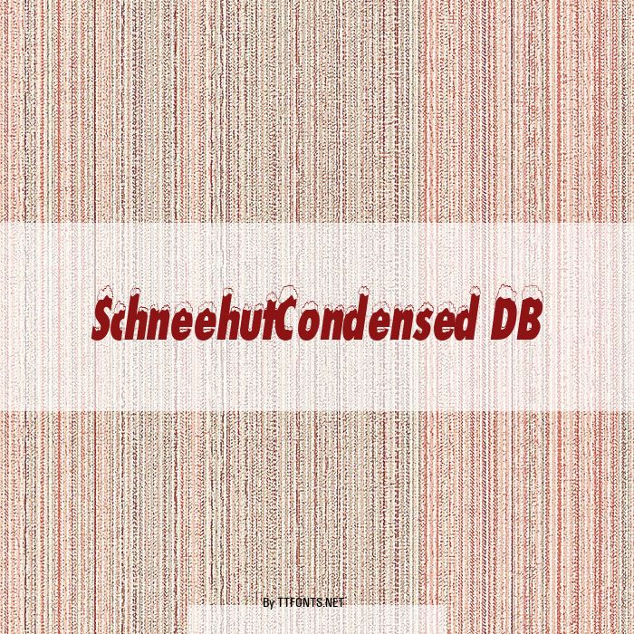 SchneehutCondensed DB example