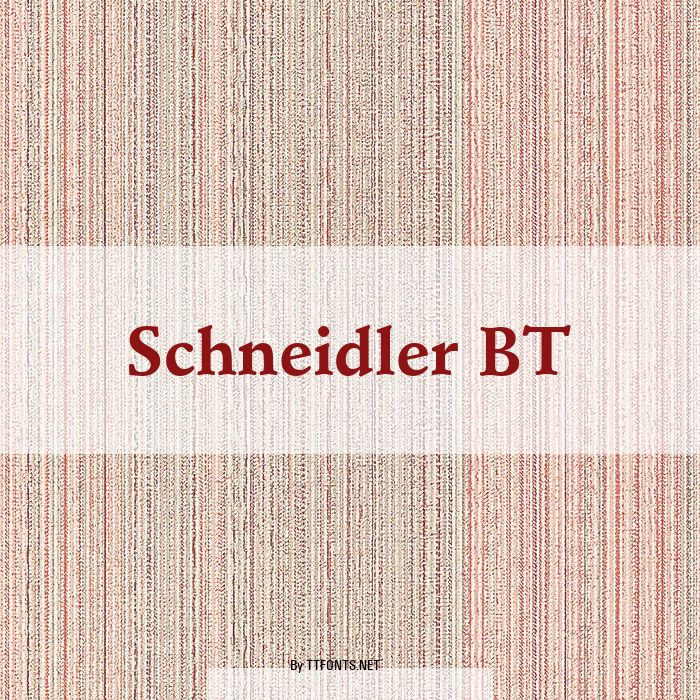 Schneidler BT example