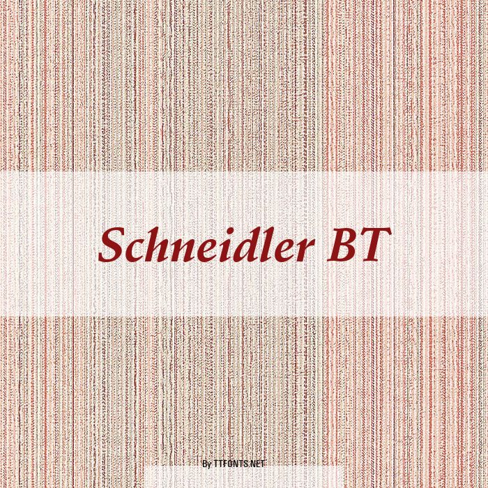 Schneidler BT example