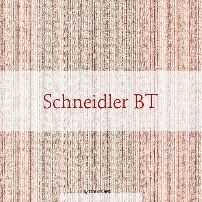 Schneidler BT example