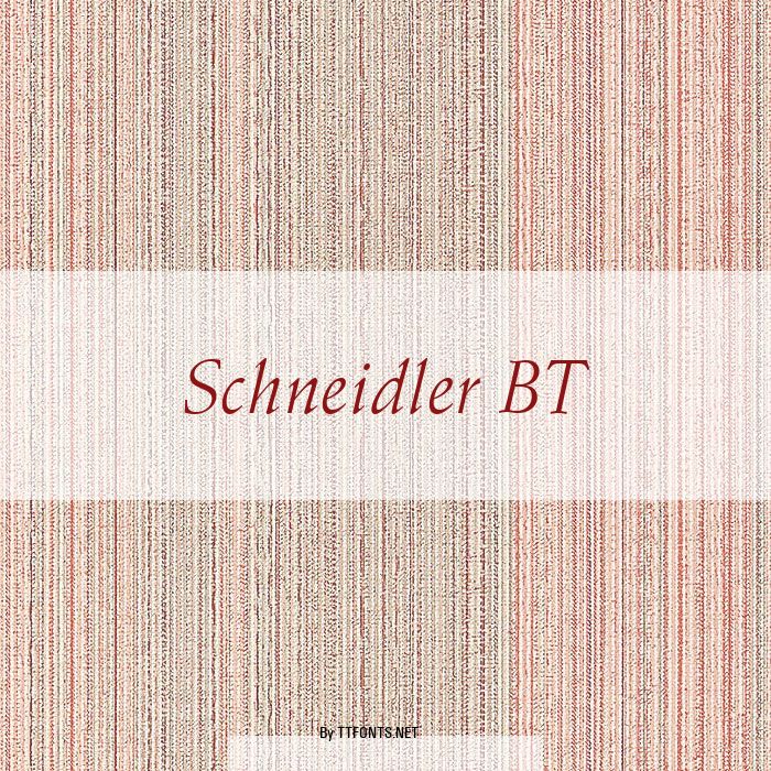 Schneidler BT example