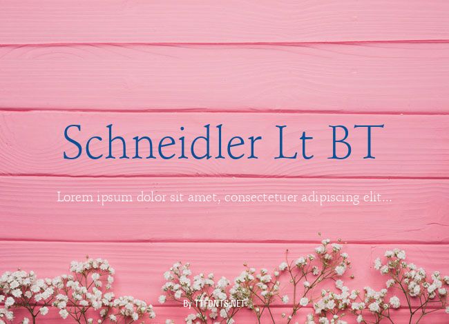 Schneidler Lt BT example