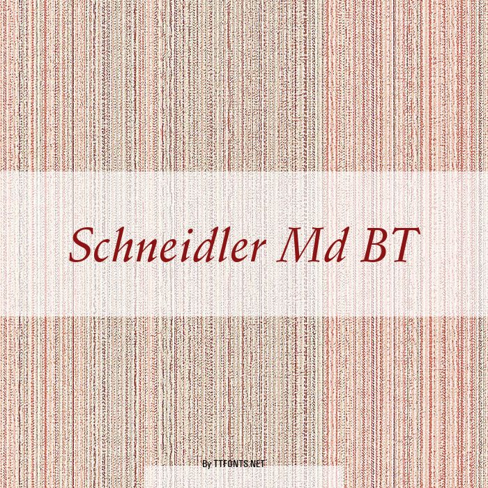Schneidler Md BT example