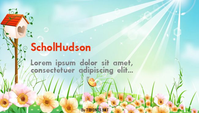 ScholHudson example
