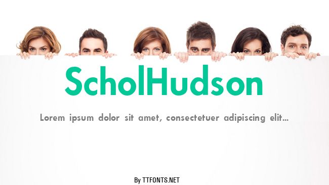 ScholHudson example