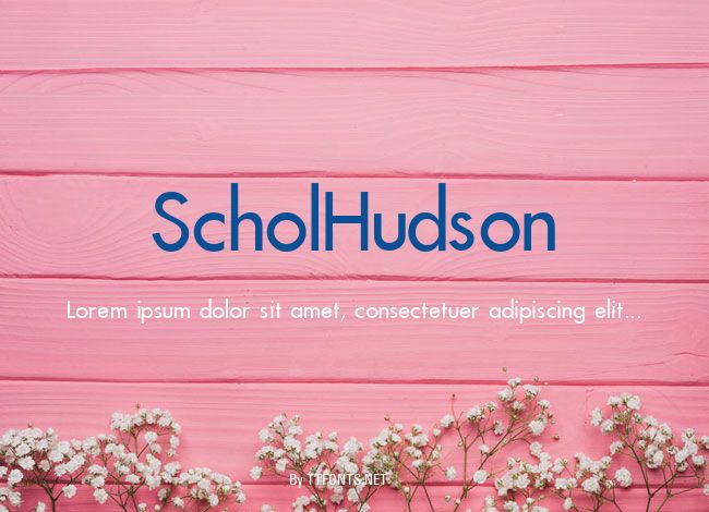 ScholHudson example