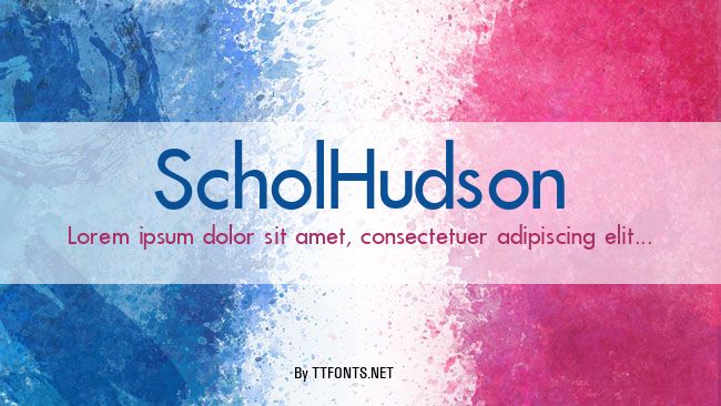 ScholHudson example