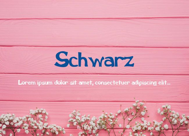 Schwarz example