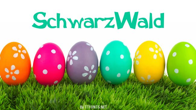 SchwarzWald example