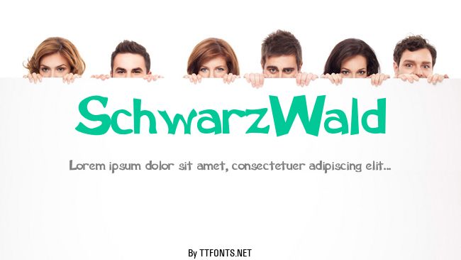 SchwarzWald example