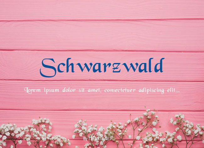 Schwarzwald example
