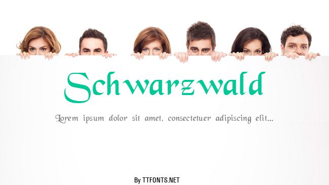 Schwarzwald example