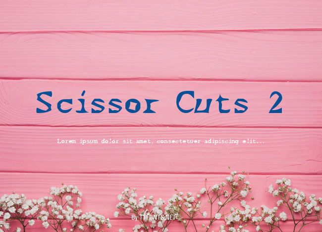 Scissor Cuts 2 example