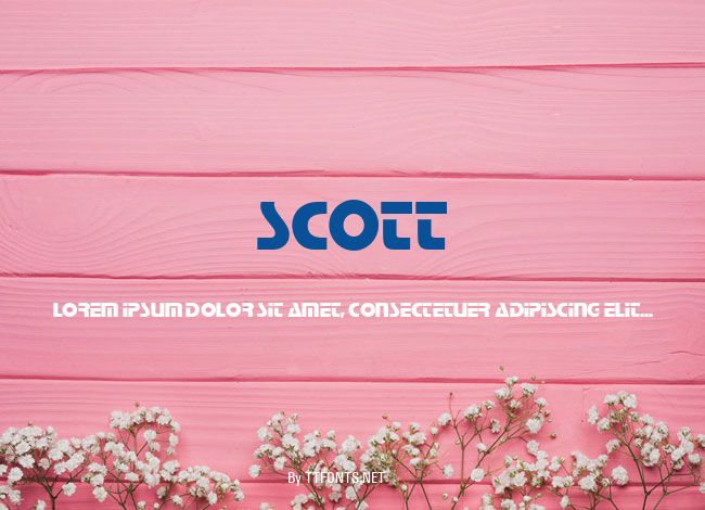 Scott example