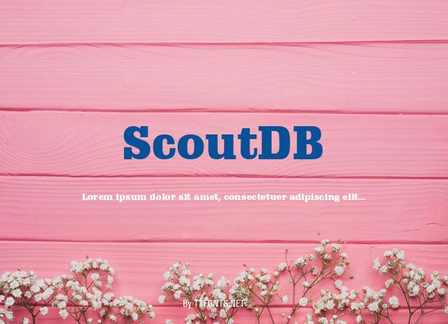 ScoutDB example