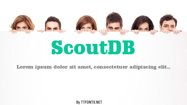 ScoutDB example