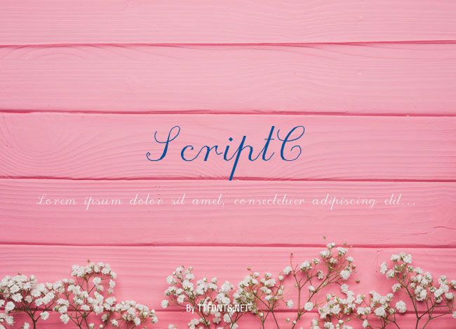 ScriptC example