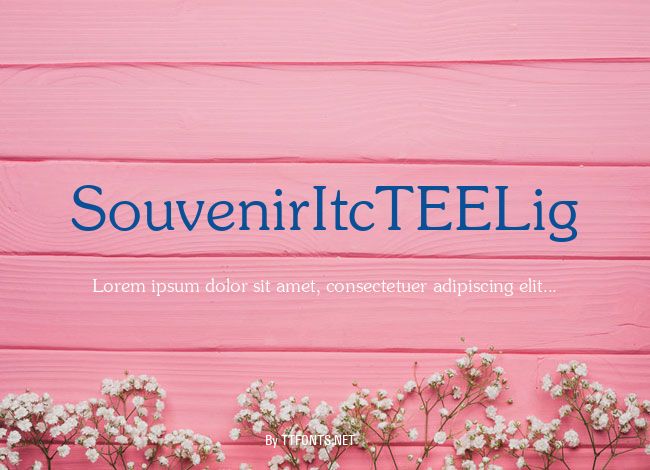 SouvenirItcTEELig example