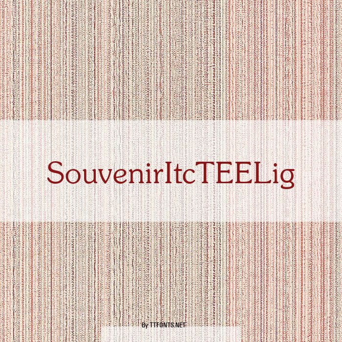SouvenirItcTEELig example