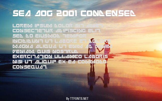 Sea Dog 2001 Condensed example