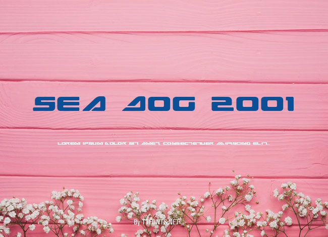 Sea Dog 2001 example