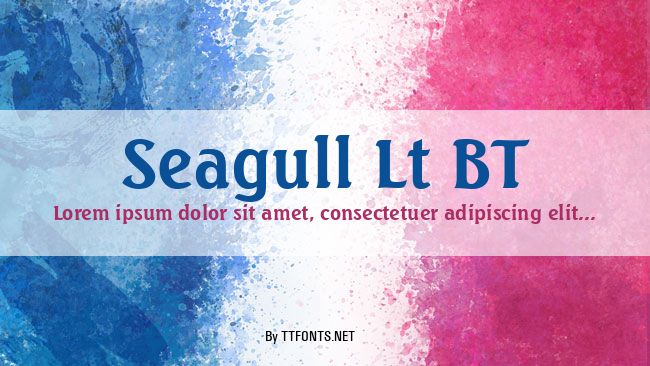 Seagull Lt BT example