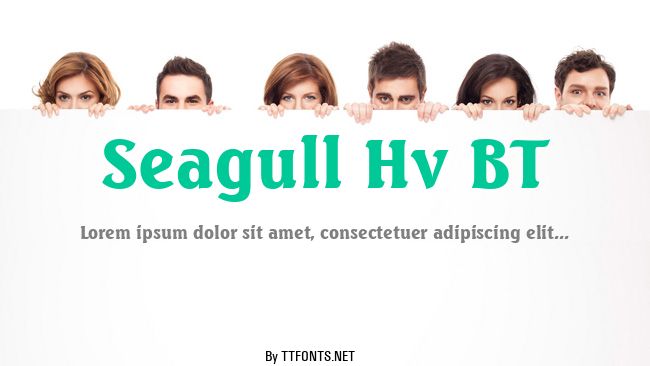 Seagull Hv BT example