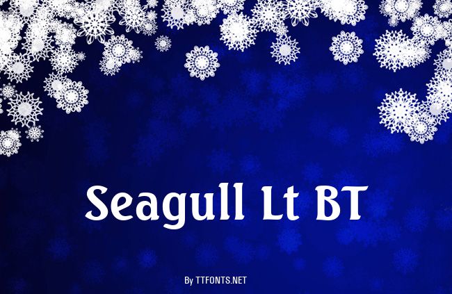 Seagull Lt BT example