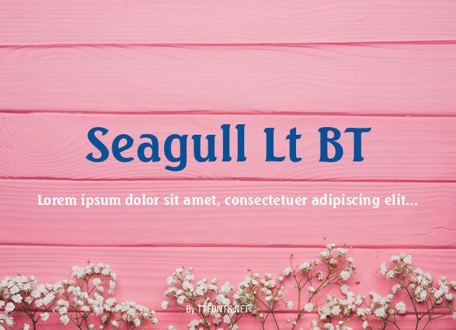 Seagull Lt BT example